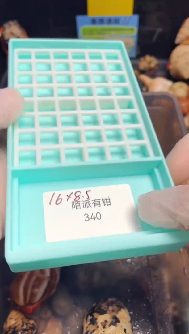陌派帝国寄居蟹食盆 浅蓝底白网