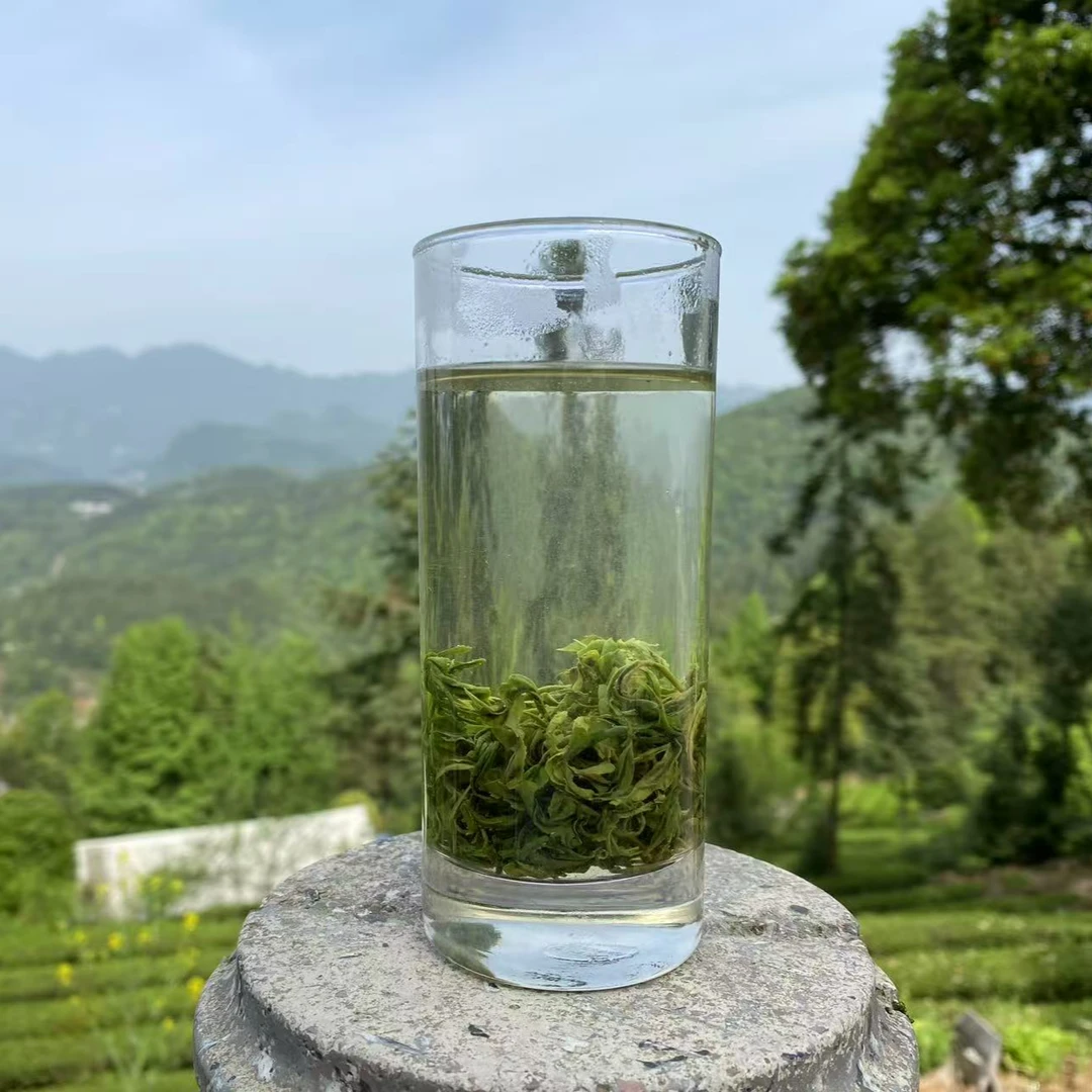 2025明前春茶高山云雾绿茶炒青香茶浓香耐泡栗香型