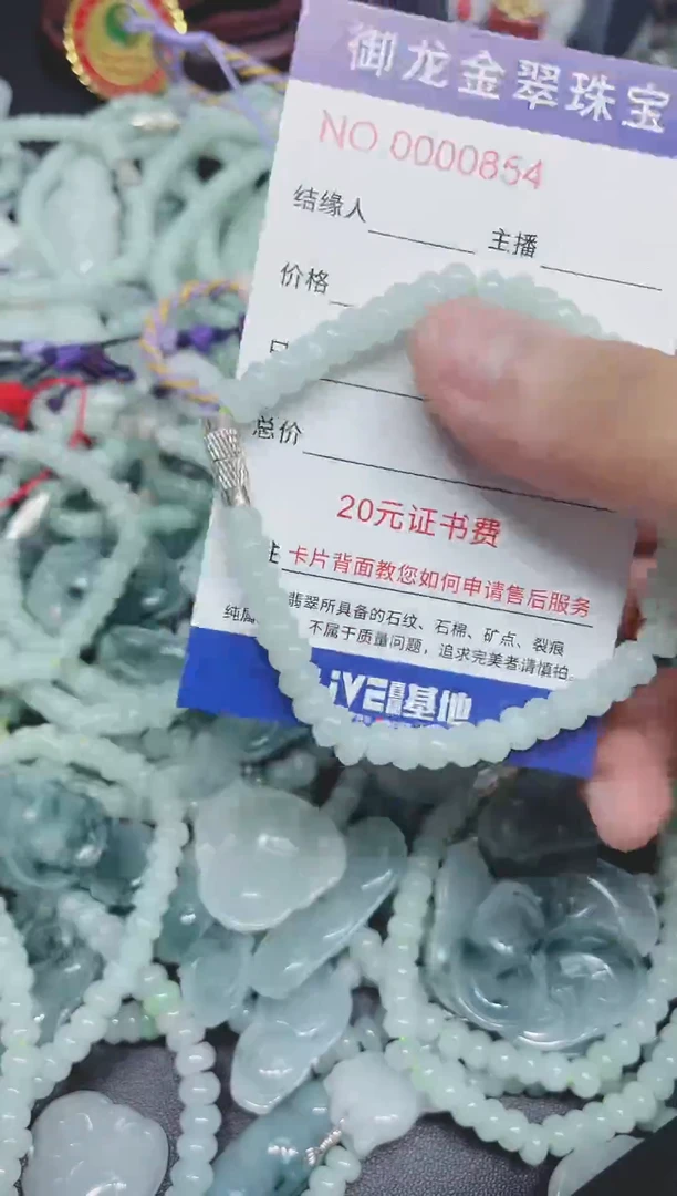 翡翠未镶嵌颈饰019