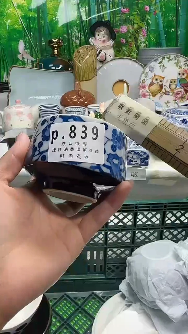 瓷片L*839ccccccccc