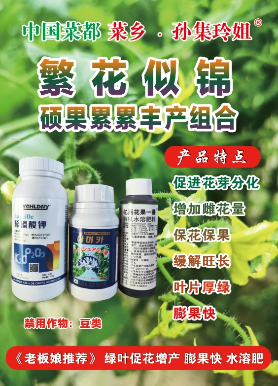 菜乡玲姐硕果累累丰产组合促花保花保果水溶肥肥料