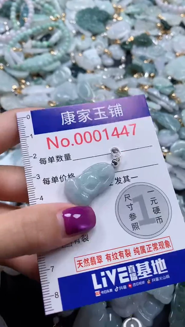 颈饰未镶嵌翡翠1447