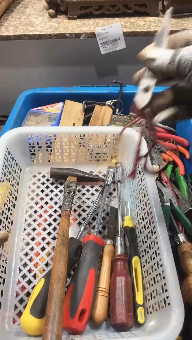 大***高麻嘎子工具闪购链接一物一拍