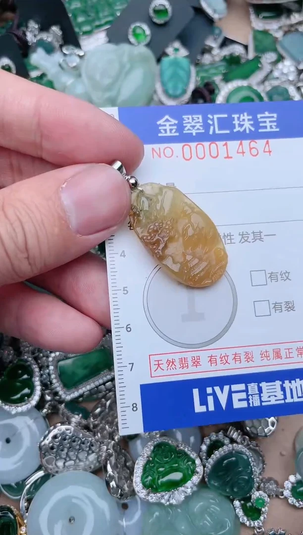 【闪购商品】翡翠颈饰未镶嵌1464....