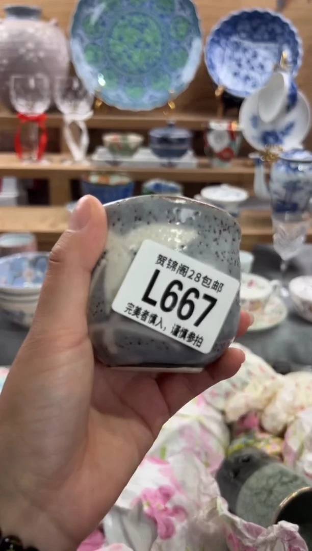 瓷片用*      L667