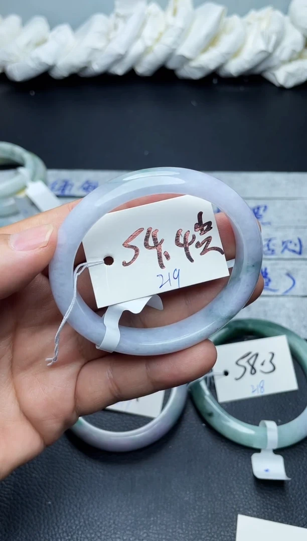 未镶嵌手镯翡翠飞***螂219