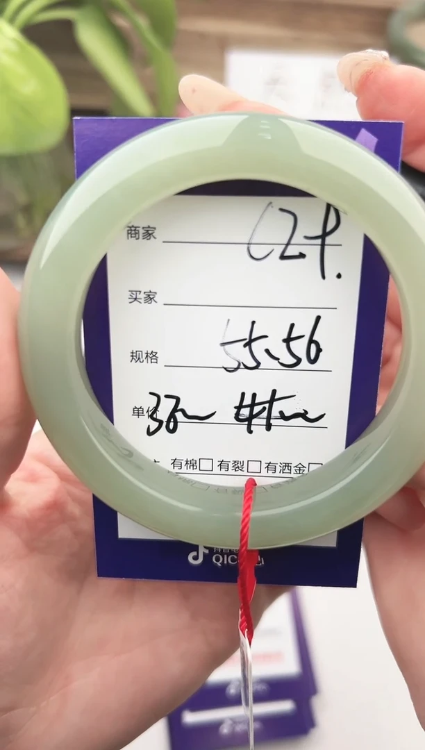 未镶嵌手镯和田玉微色差C29