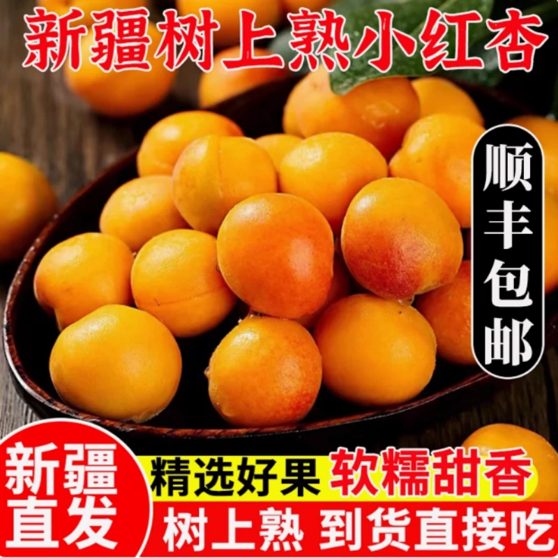 新疆直发小红杏应当季新鲜杏子孕妇水果甜杏4斤整箱顺丰空运包邮