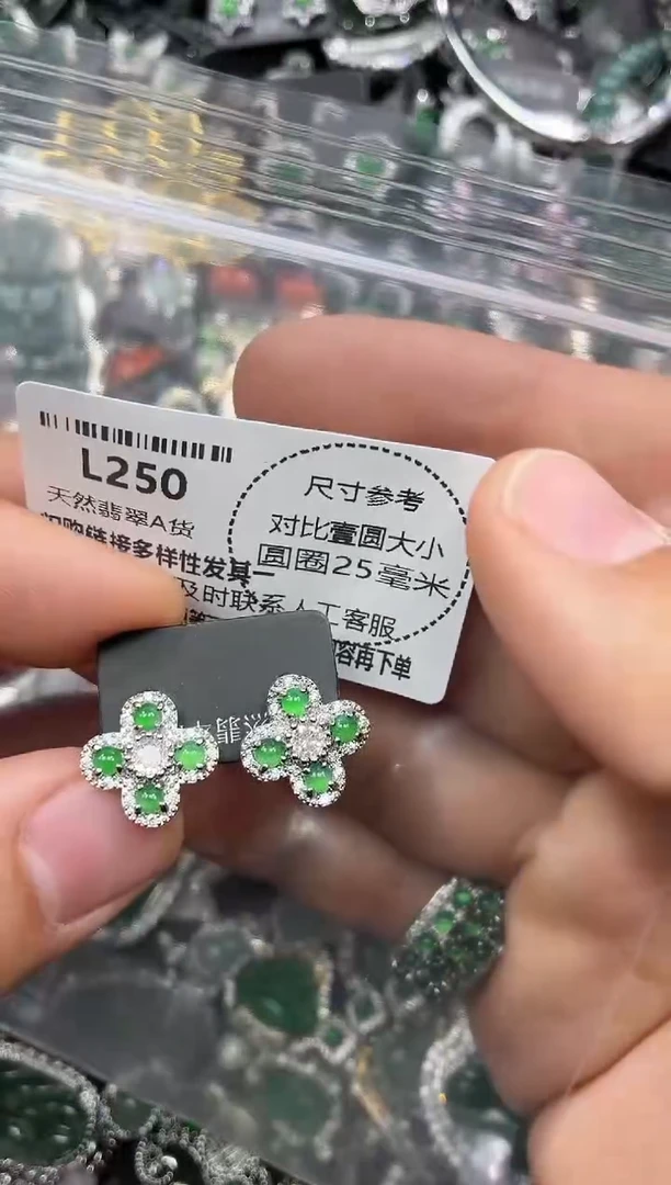 颈饰未镶嵌翡翠L250耳钉