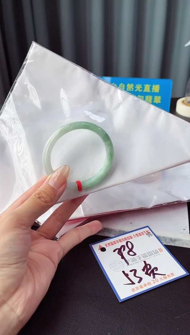 未镶嵌手镯翡翠1111