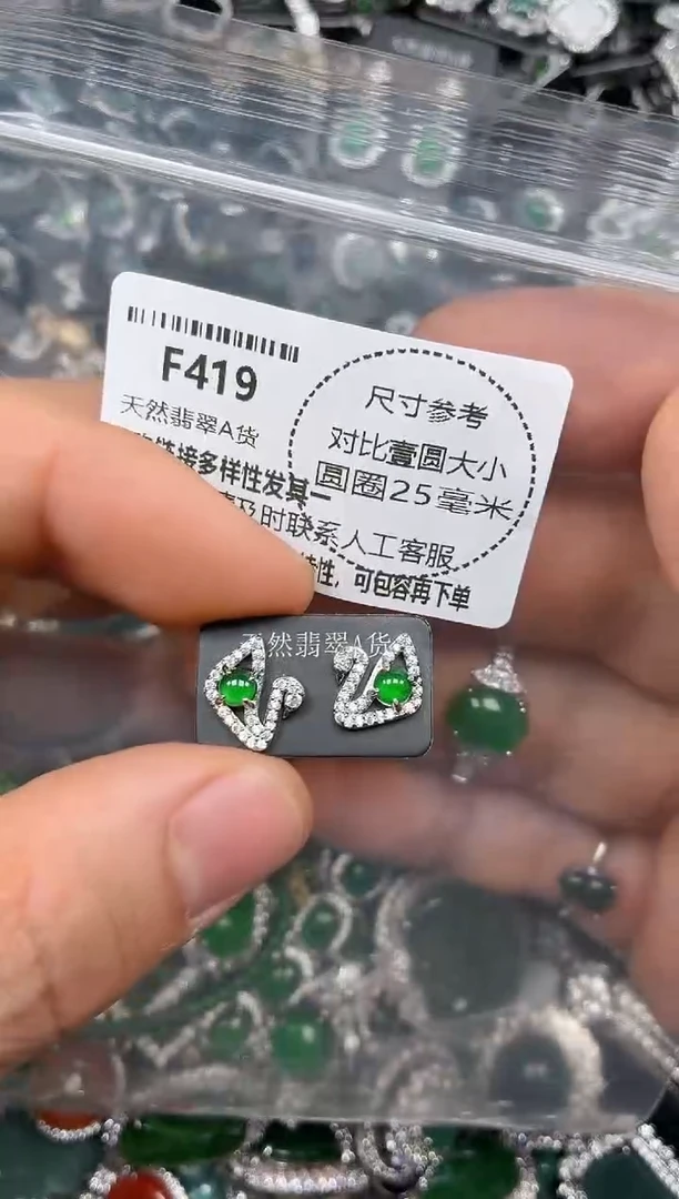 颈饰未镶嵌翡翠F419耳钉