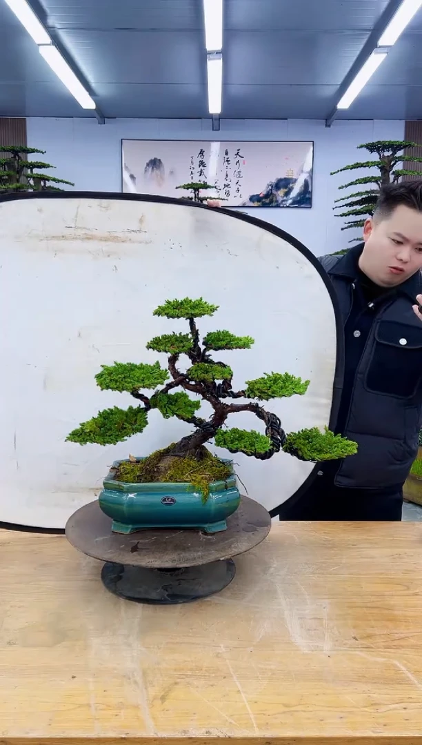 以实际为准00000000000