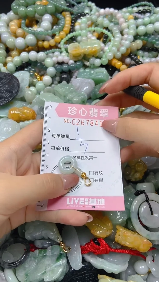 翡翠未镶嵌颈饰闪购0267841