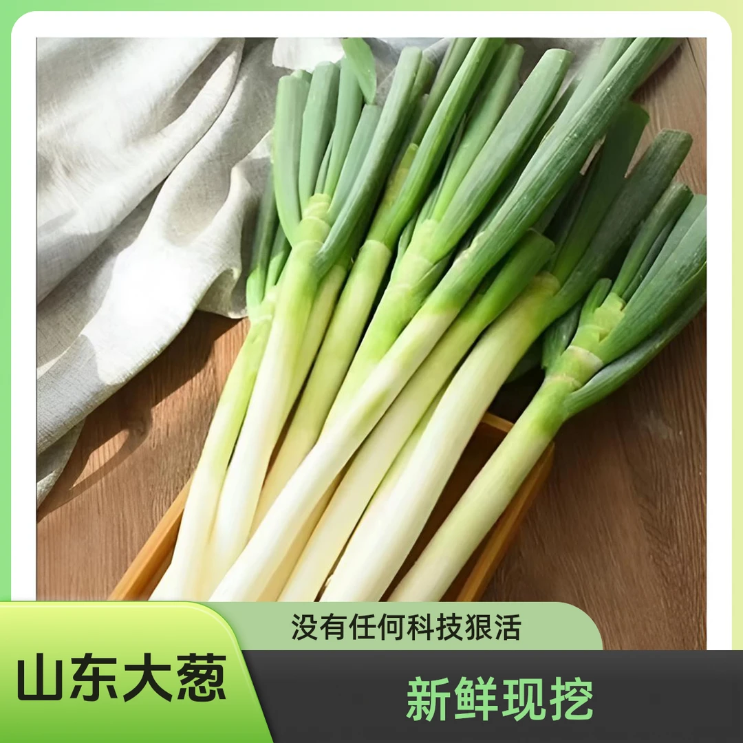 山东大葱新鲜直达 农家种植 没有任何科技狠活