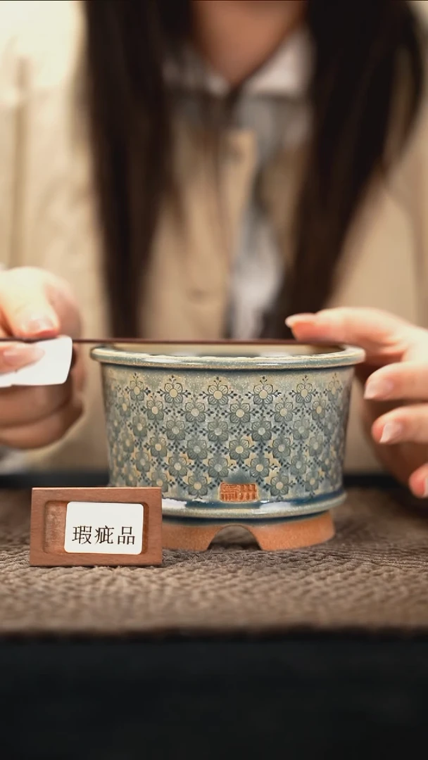 口径10.5花盆-12-11-221特默认有瑕