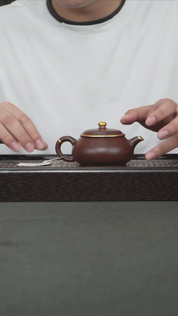 茶壶紫砂宜兴紫砂160cc0824