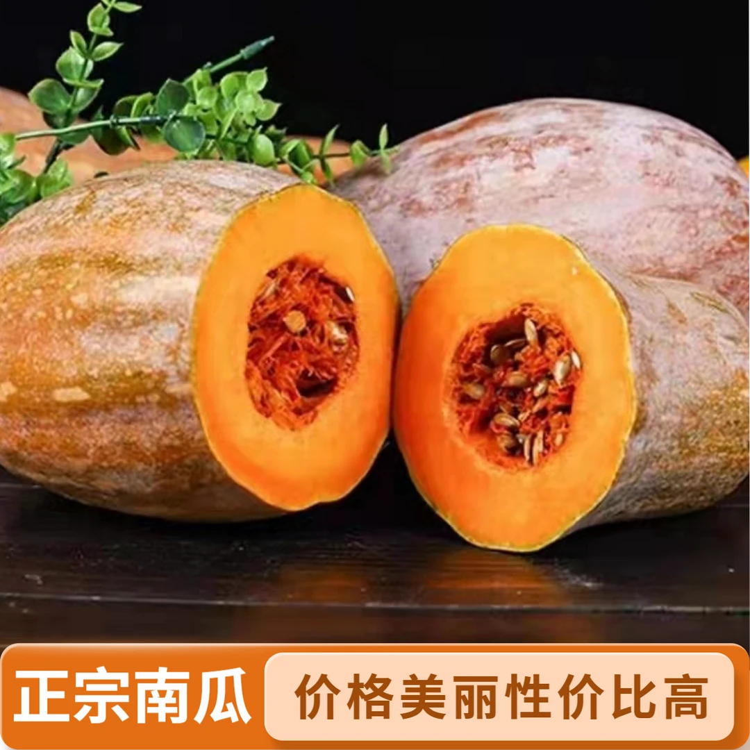 【坏果包赔】正宗贵州当季密本老南瓜长南瓜新鲜南瓜老南瓜产地直销
