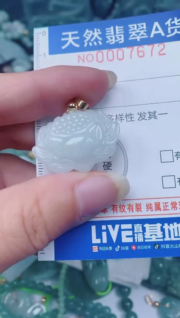 颈饰未镶嵌翡翠00007672