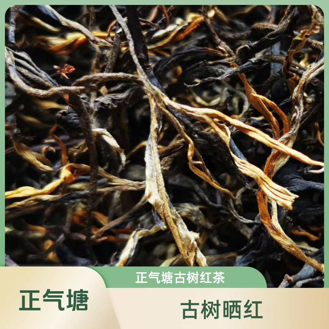 2023年 正气塘古树晒红 散茶500g