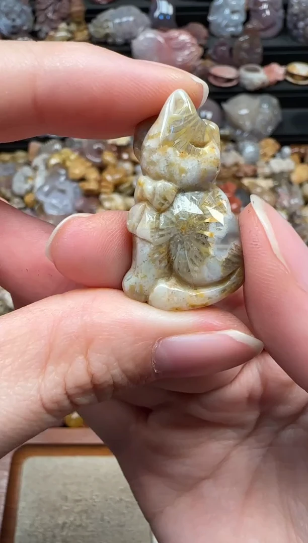 颈饰未镶嵌硅化珊瑚（珊瑚玉）797