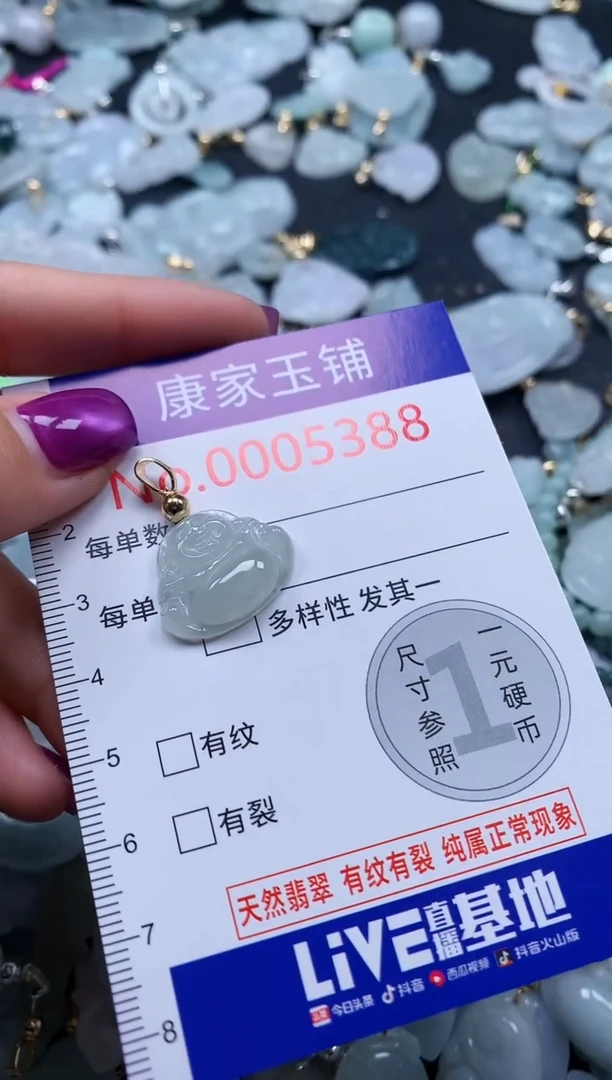 颈饰未镶嵌翡翠5388