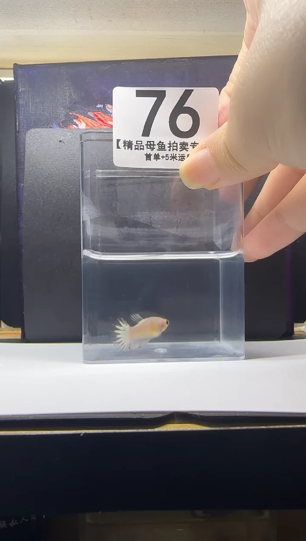 斗鱼母鱼编号：76
