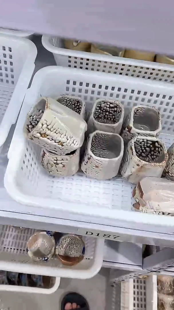 瓷片陶瓷茶器陶瓷茶器杨