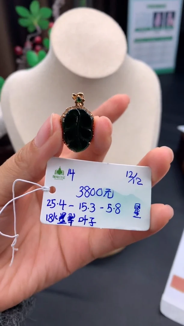 颈饰未镶嵌翡翠翡翠自带#送人#，假一赔三