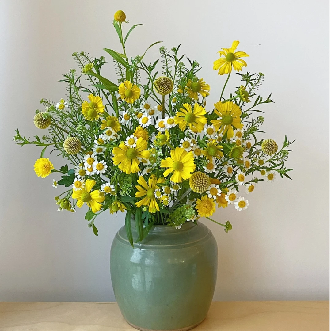 【次日达·田园】洋甘菊配油画牡丹鲜切花·直发·批发·直播两单顺丰包邮，油画小菊一把洋甘菊5支