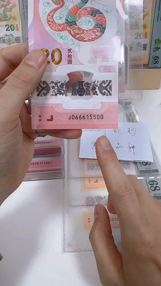 【闪购商品】塑料2025蛇钞单张J66615500