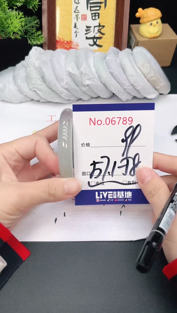 未镶嵌手镯翡翠6789