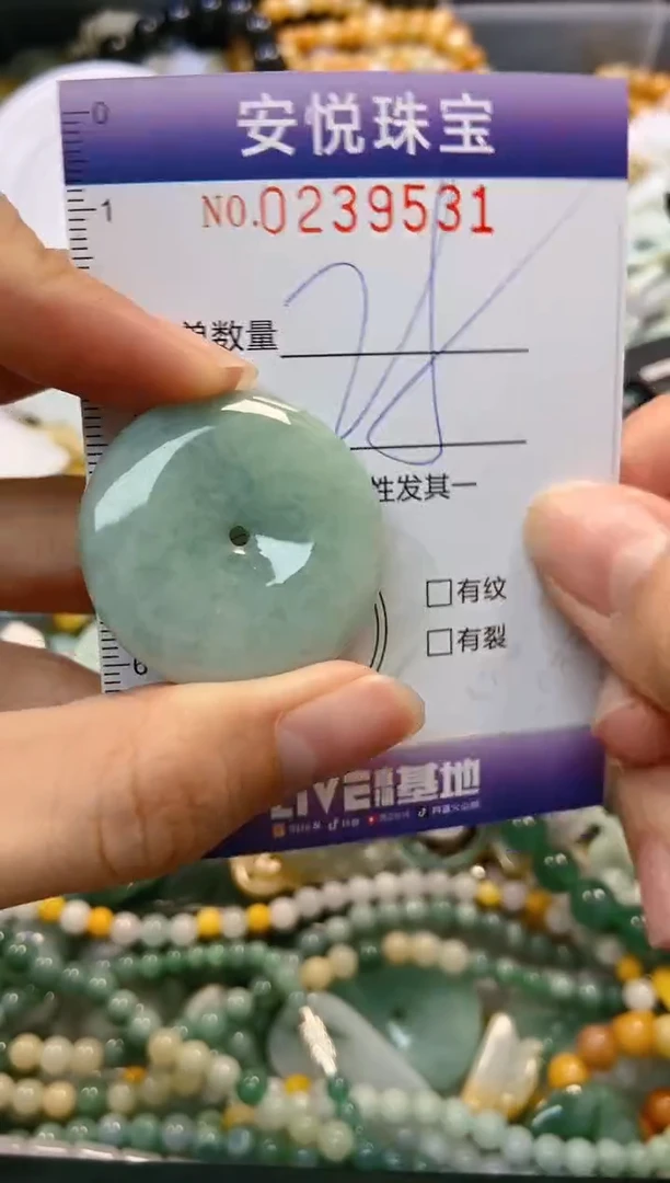 翡翠未镶嵌颈饰闪购0239531