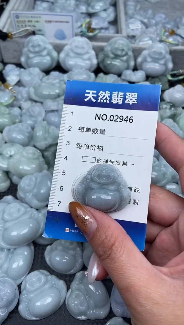 颈饰未镶嵌翡翠纯天然A货翡翠2946