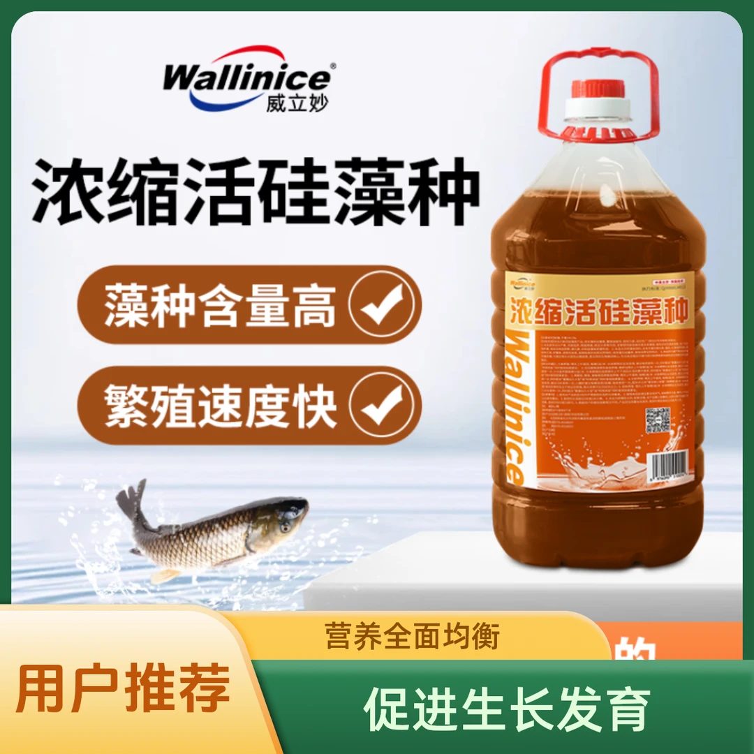 威立妙浓缩硅藻种水剂活硅藻活水产氧天然饵料花白鲢高温可用藻多