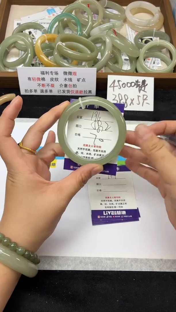 未镶嵌手镯石英质玉196