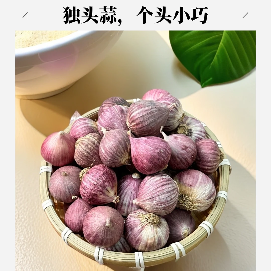 【快抢】云南正宗紫皮独头蒜新鲜现挖香辣饱满可做腊八蒜热卖回购