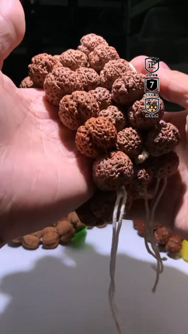 金刚菩提手串020