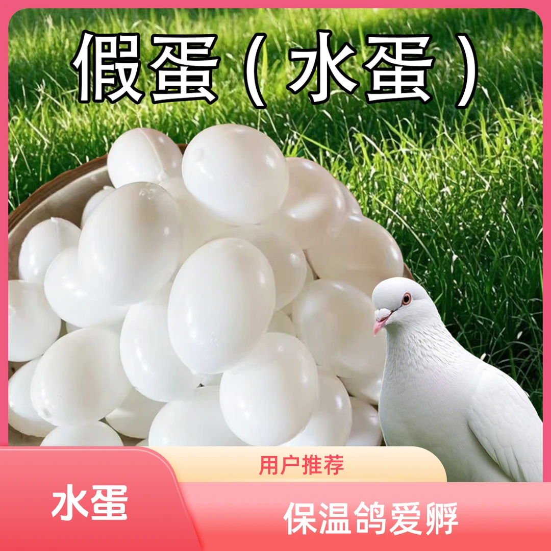 水蛋假鸽蛋假蛋仿真注水鸽子蛋肉鸽信鸽塑料鸽具