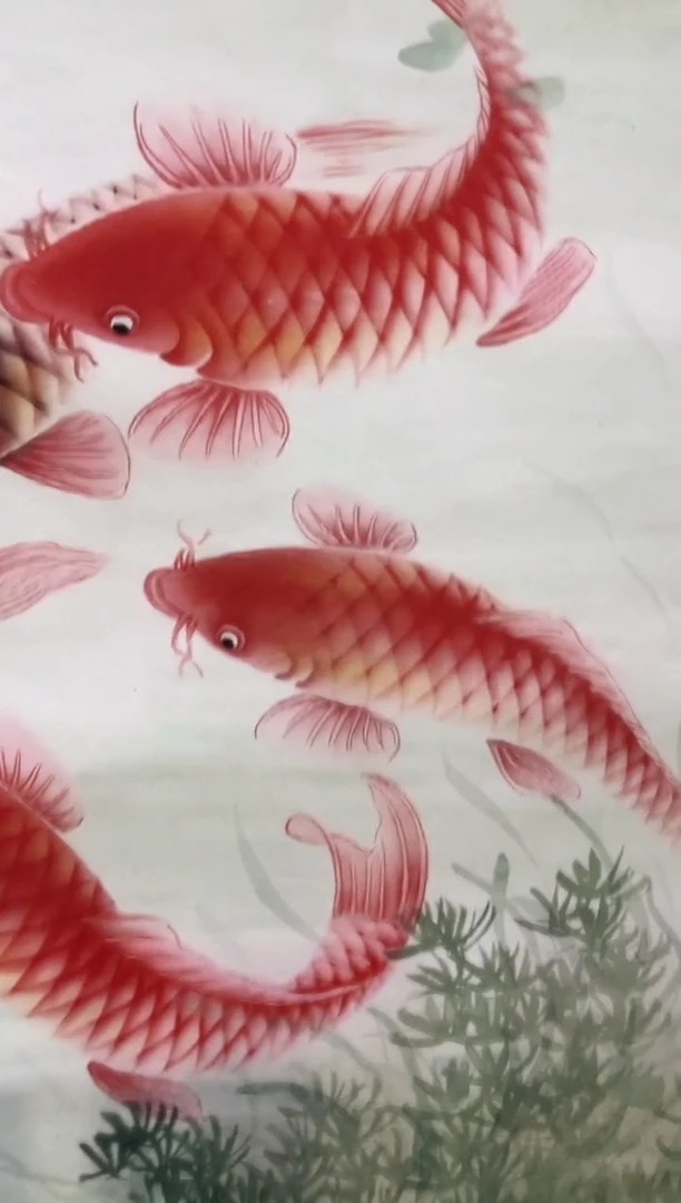 国画安哥专属精品链接69