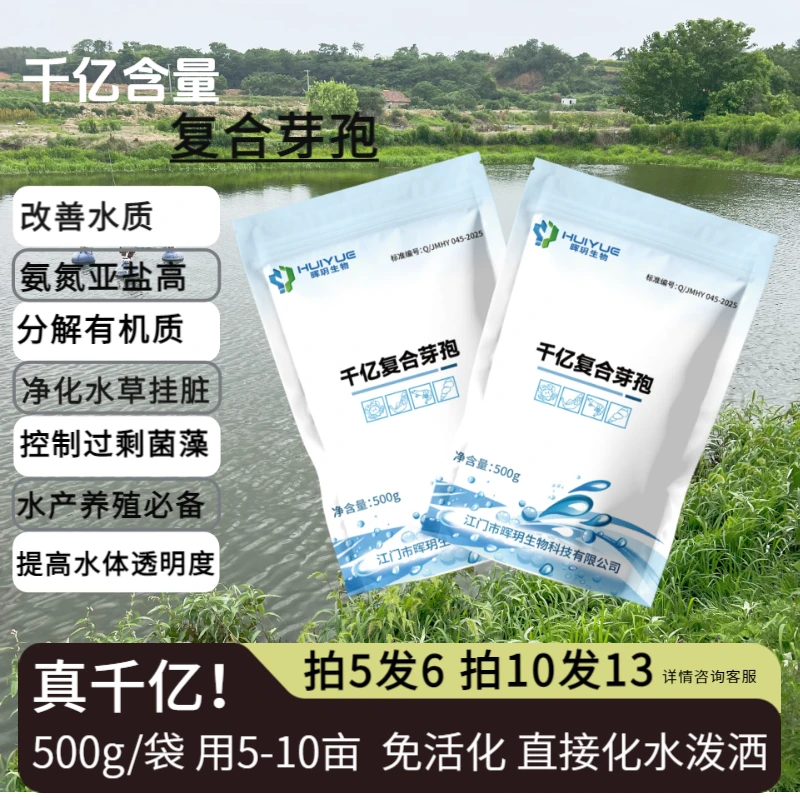 千亿复合水产养殖用药专用分解有机质氨氮亚盐枯草隋老师说鲈鱼