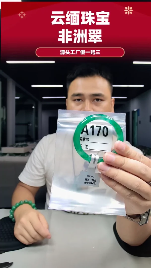 未镶嵌手镯石英质玉（非洲翠）54圈口A170