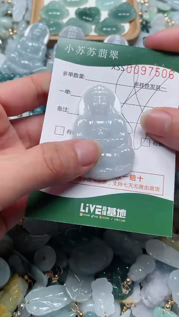 【闪购商品】翡翠颈饰未镶嵌闪购商品0097506