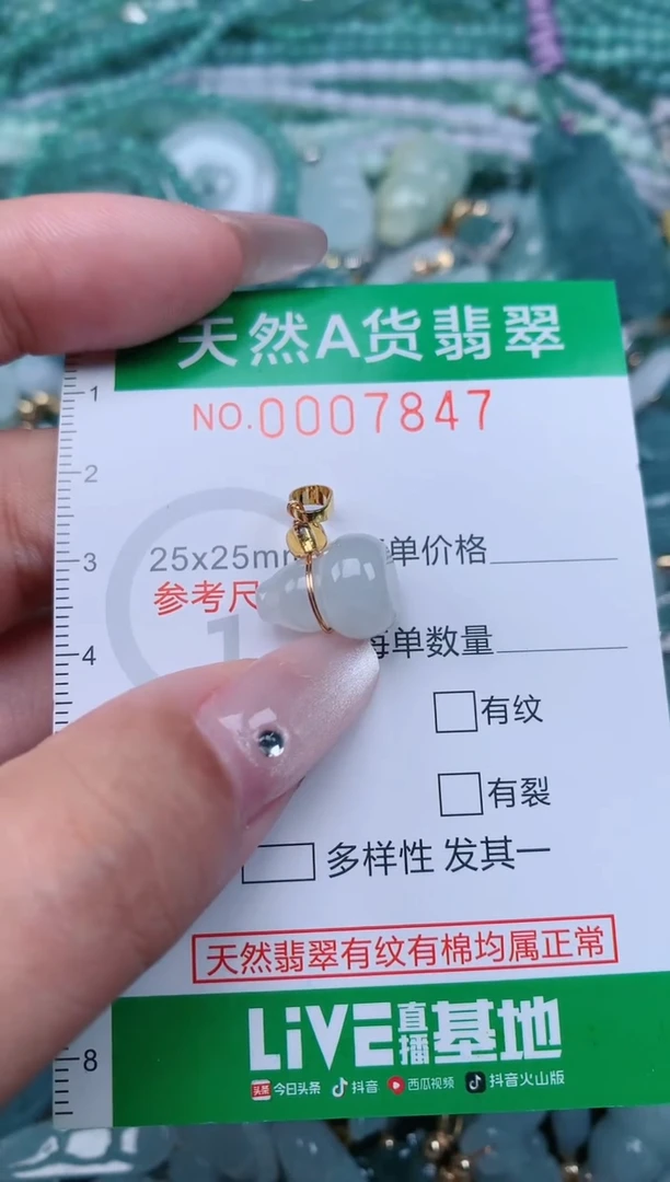 翡翠未镶嵌颈饰.0007847