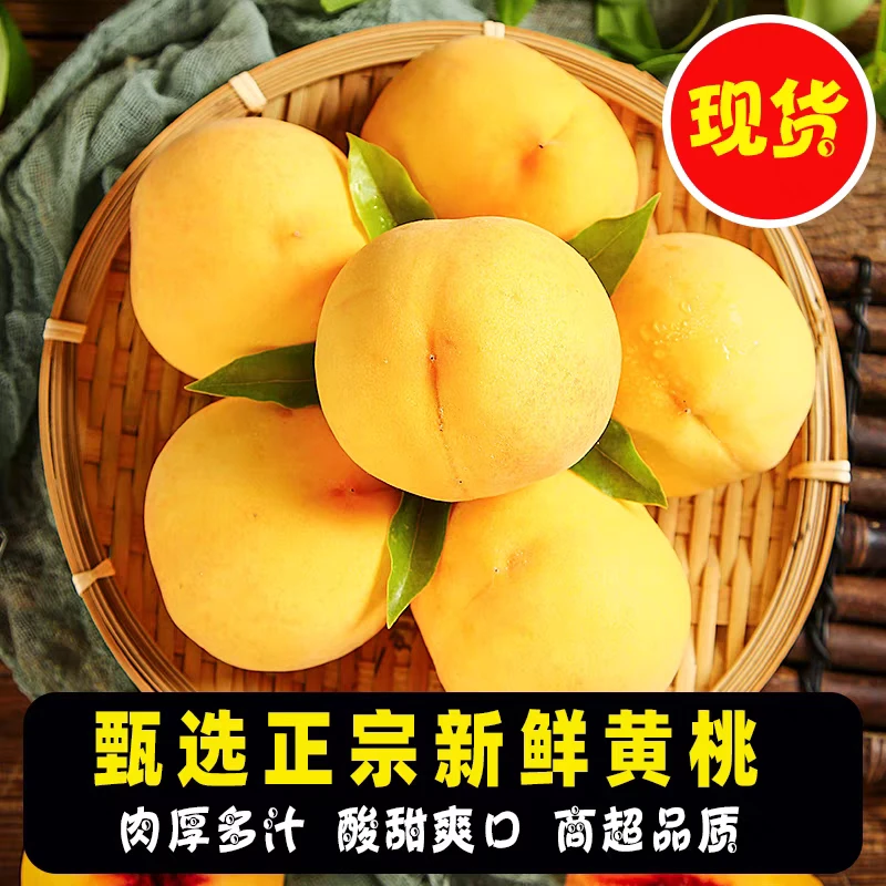 【京东快递】露天黄桃脆软俩吃桃味浓郁汁水多现摘现发新鲜肉感多