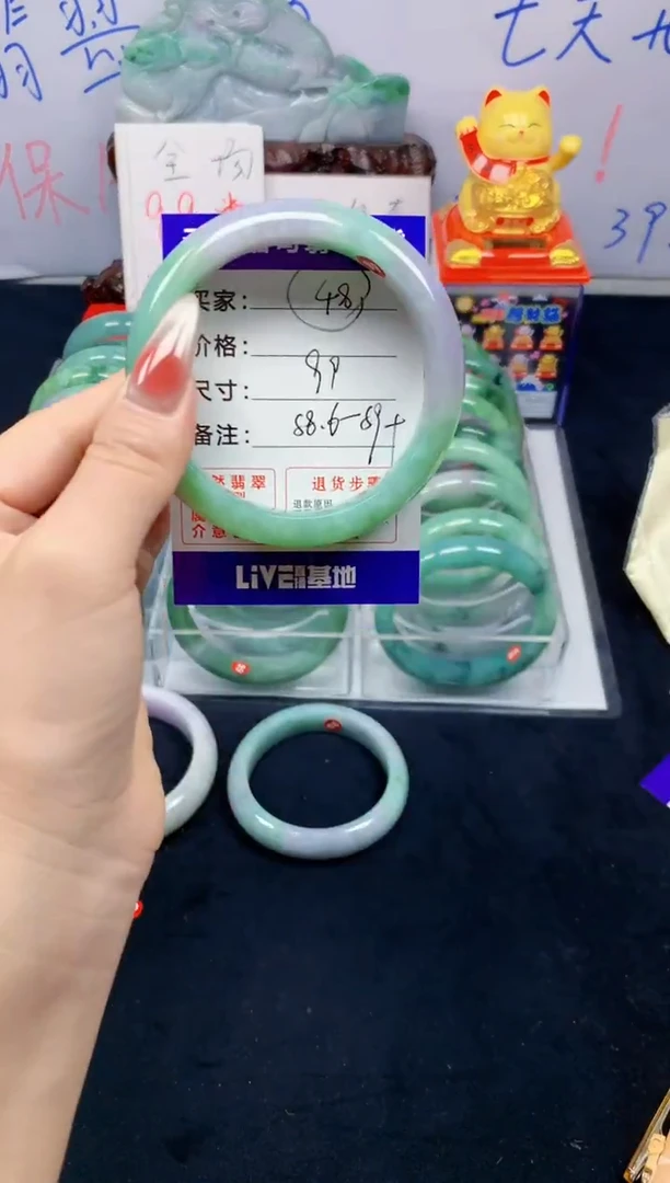 未镶嵌手镯翡翠48