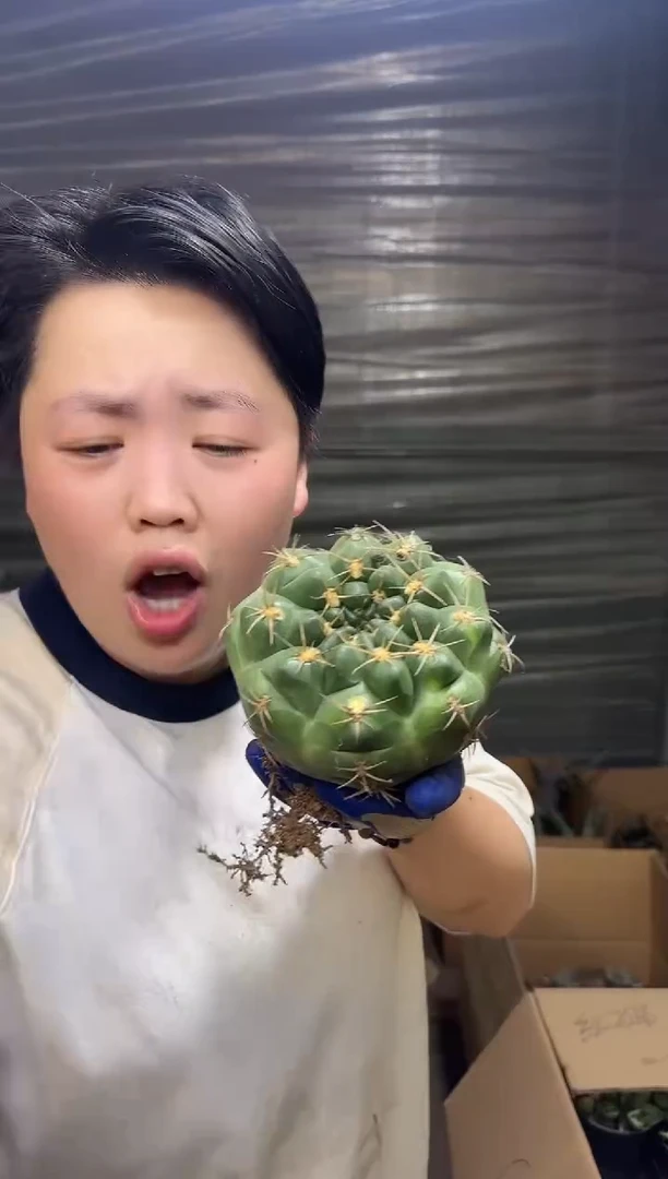 脱土海王1颗9.99