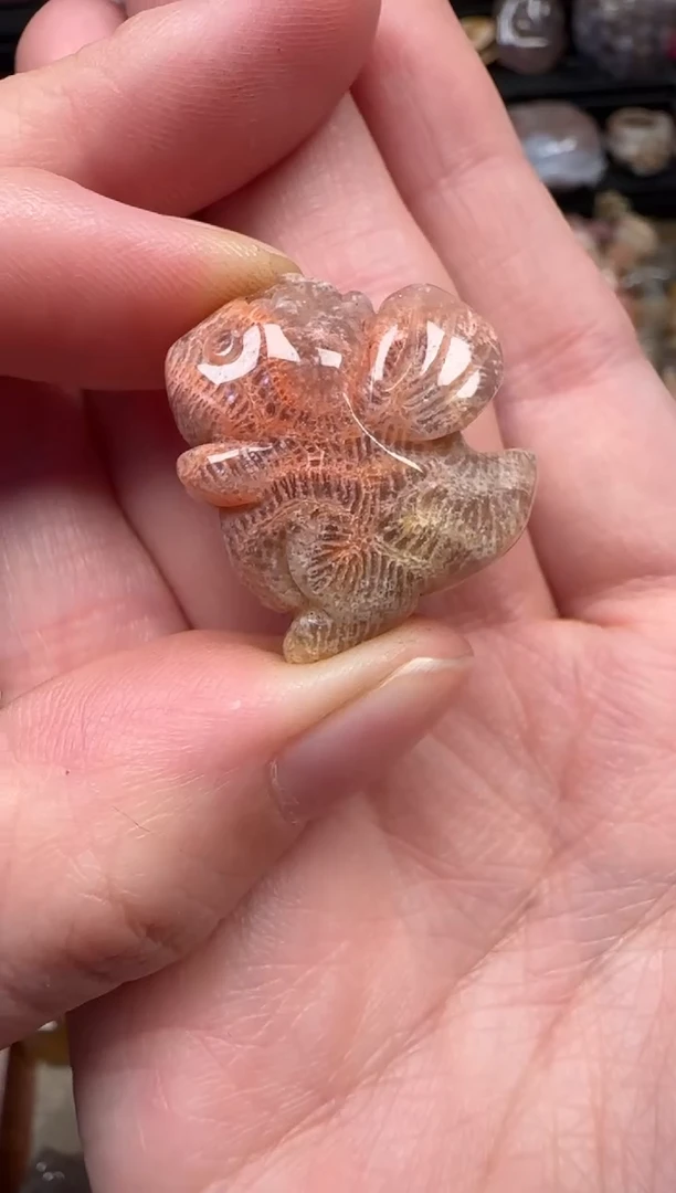 颈饰未镶嵌硅化珊瑚（珊瑚玉）191