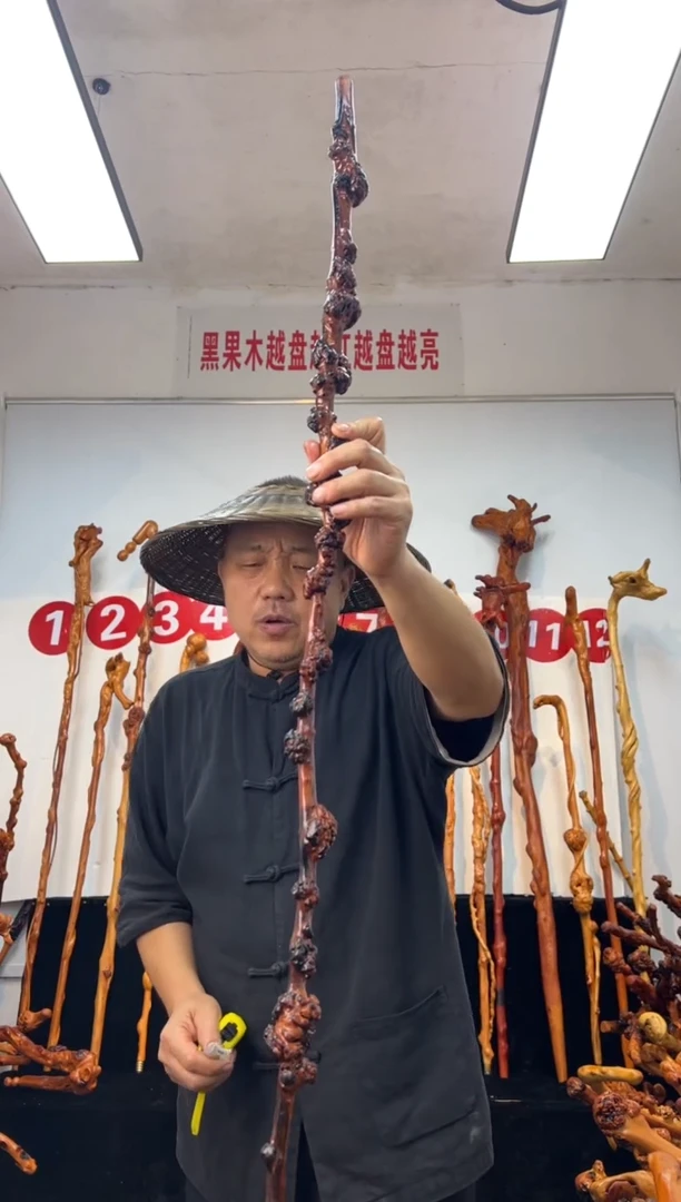 黑果木其他黑果木488
