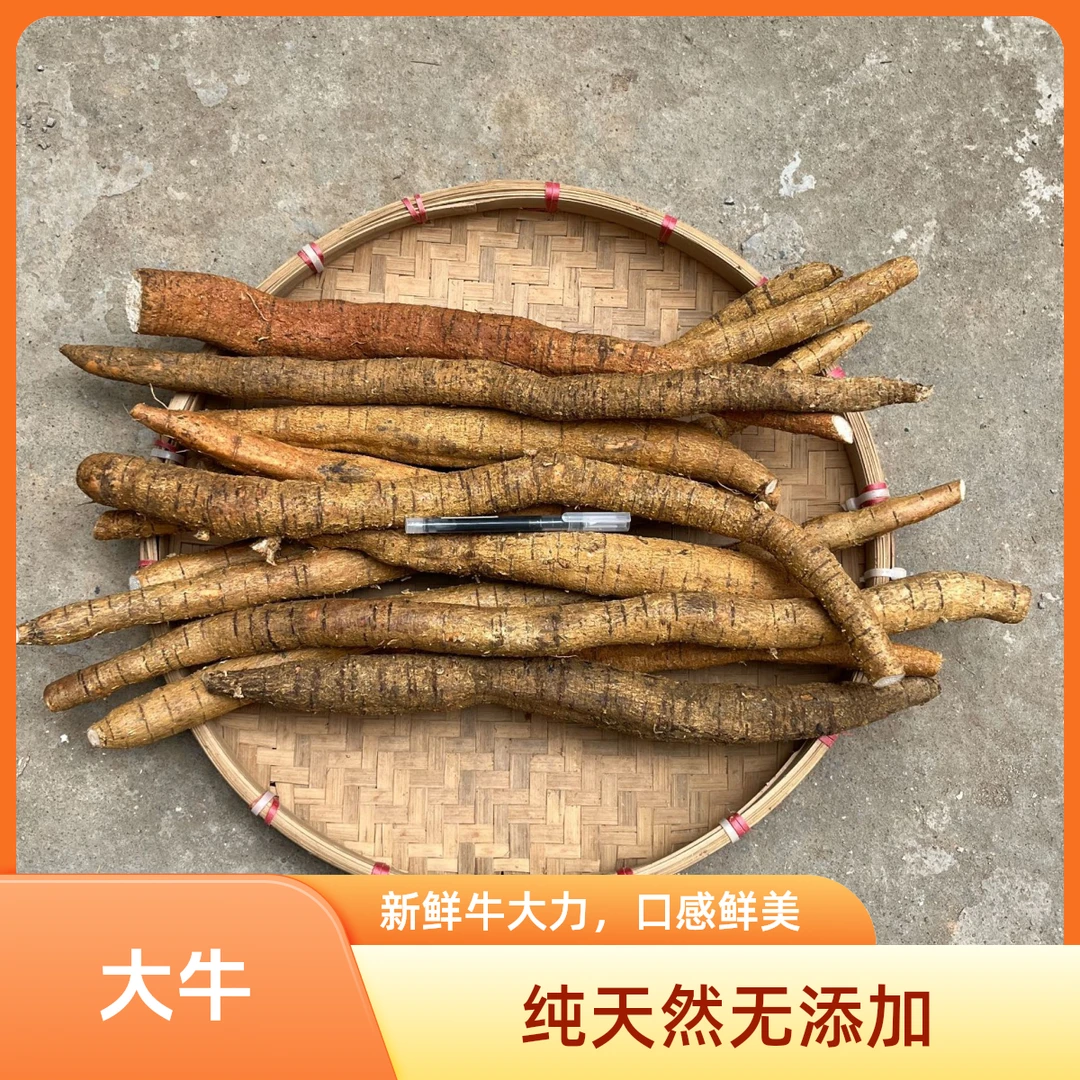 大牛新鲜现挖煲汤农产品