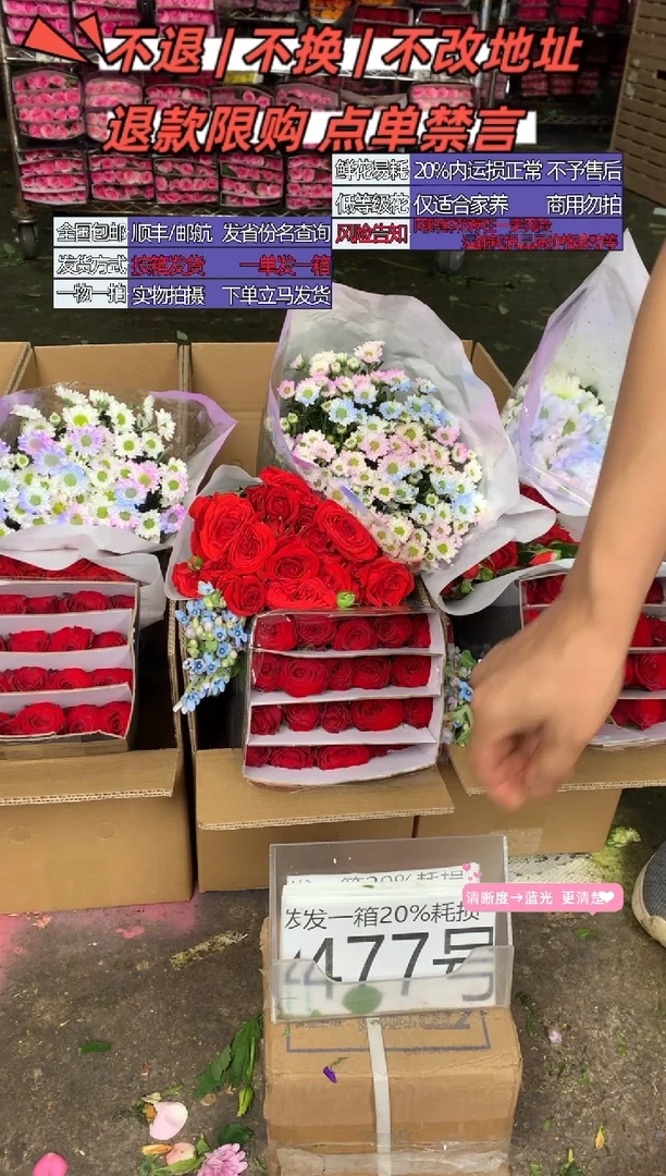 477号♥含20%耗损发一箱